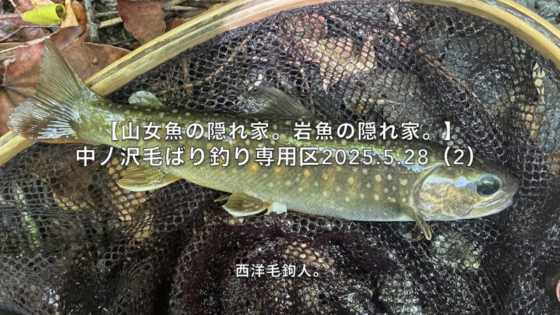 【フライフィッシング】スレ気味のサカナは、どこにいる?