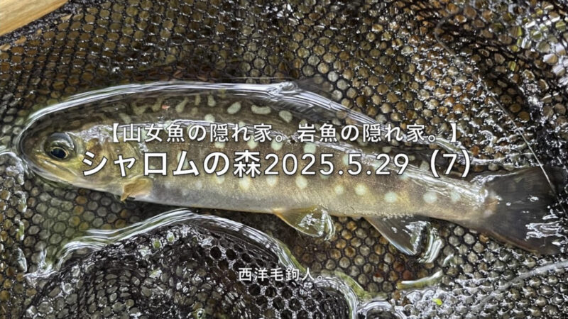 【フライフィッシング】季節は、水から移り変わる。