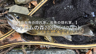 【フライフィッシング】気前のいい山神さまに遭遇！？ 