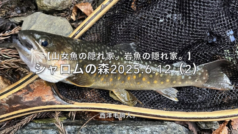 【フライフィッシング】気前のいい山神さまに遭遇!?