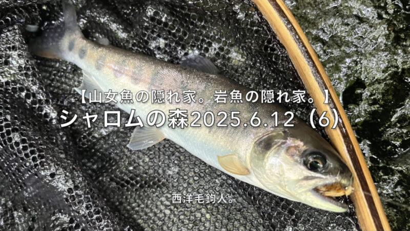 【フライフィッシング】釣れると、メンタルは速攻で回復する。