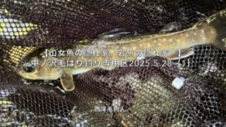 【フライフィッシング】大きなポイント直前の小さなポイントに注目！ 
