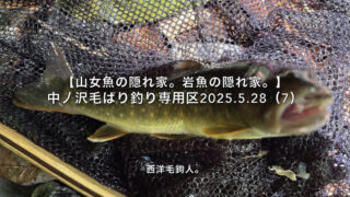 【フライフィッシング】誰でも狙うポイントは、じっくり毛鉤を漂わせる。 