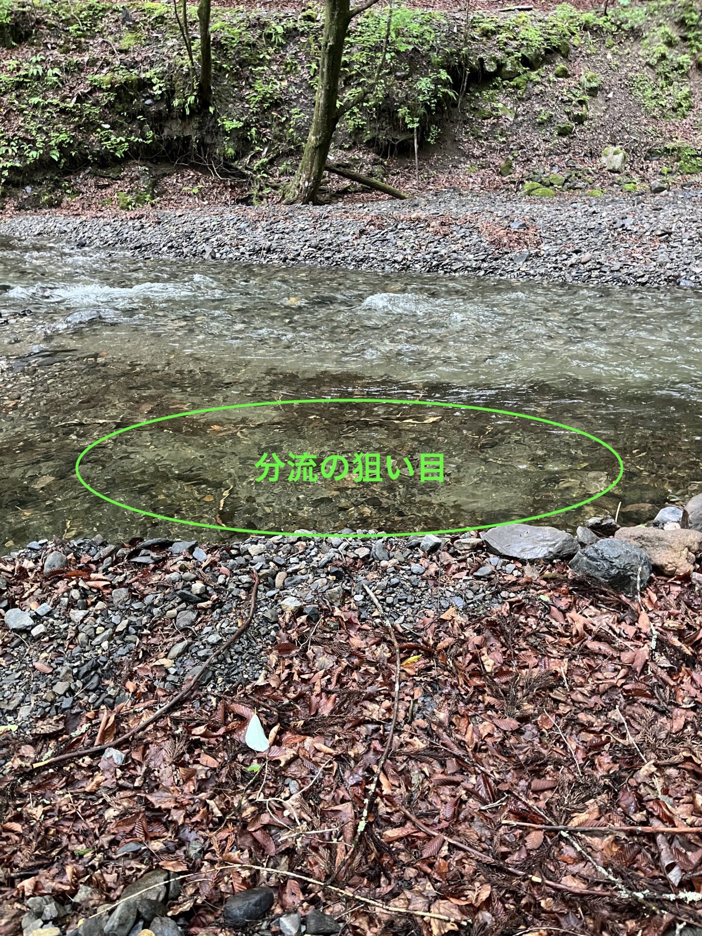 分流の狙い目
2025.6.26
