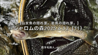 【フライフィッシング】トラブルの原因は、焦り・・・。 