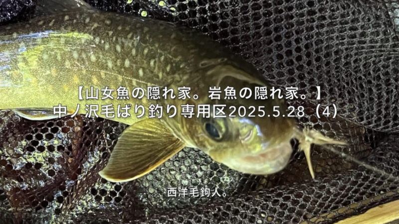 【フライフィッシング】季節は水から変わる?