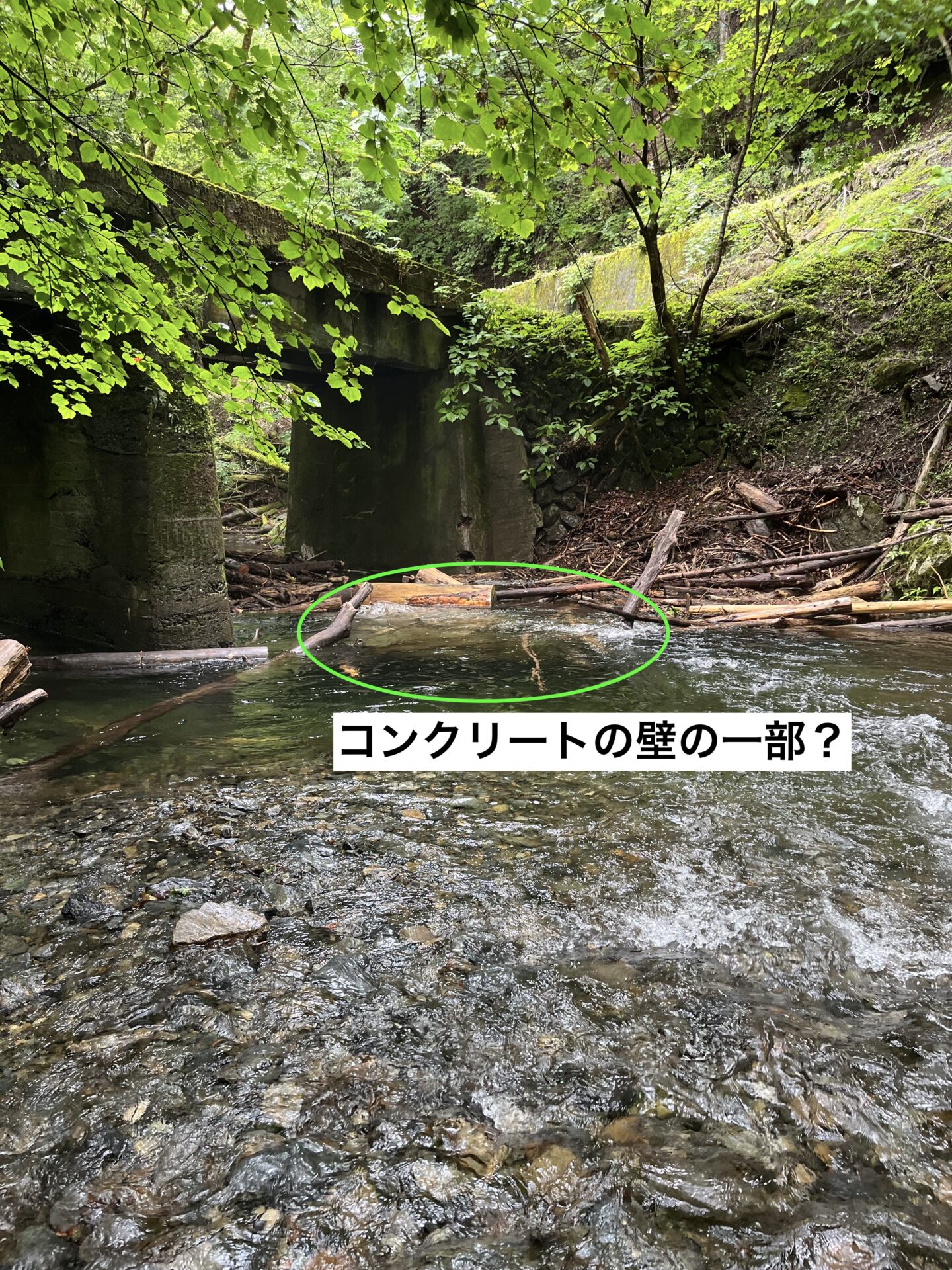 水害の様子
シャロムの森
2025.6.26