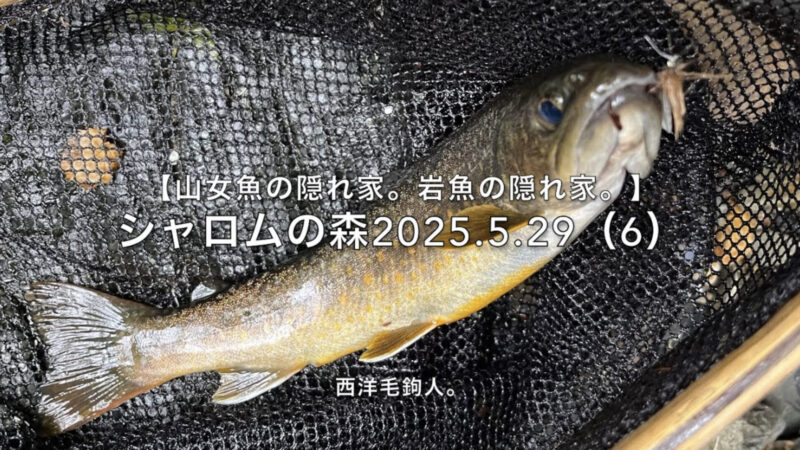 【フライフィッシング】余裕が釣果につながる!