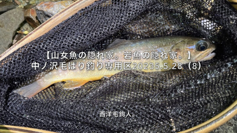 【フライフィッシング】竿抜けのポイントなら、高反応!