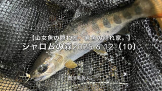 【フライフィッシング】水底が岩盤なら、砂地の部分が狙い目。 