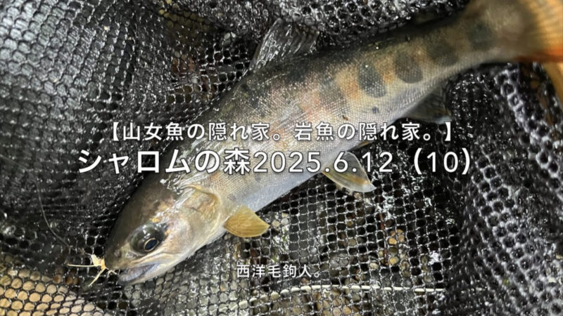 【フライフィッシング】水底が岩盤なら、砂地の部分が狙い目。