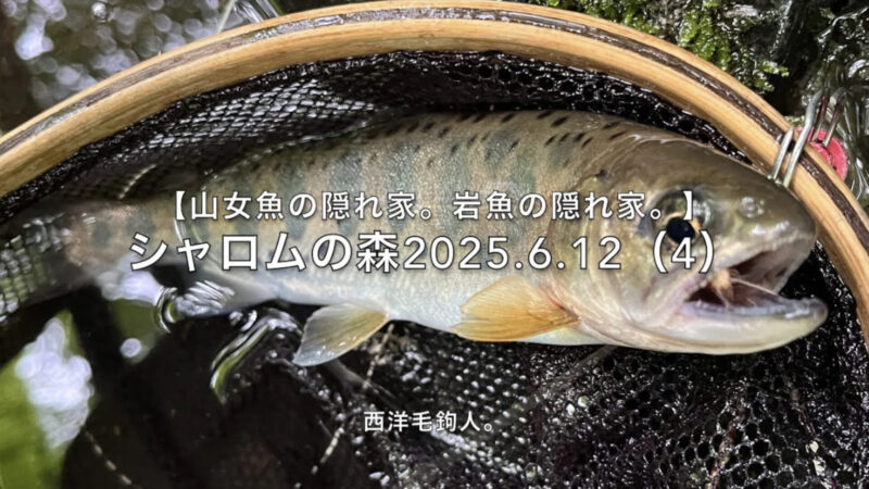 【フライフィッシング】増水気味だから流芯脇の緩流帯を狙う!