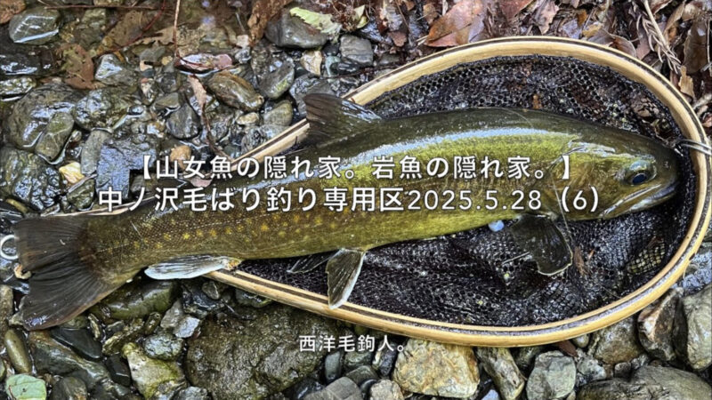 【フライフィッシング】警戒されたかな?毛鉤を替えてチャレンジ!