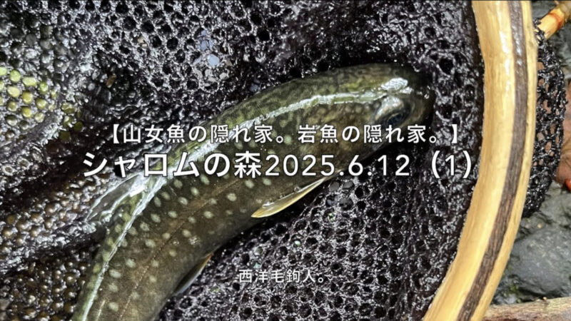 【フライフィッシング】釣れちゃった・・・それでも1匹！ 