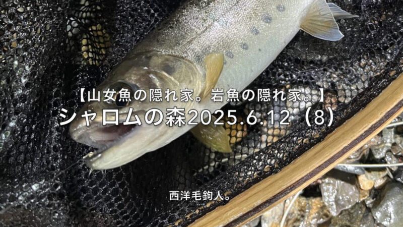 【フライフィッシング】シカがくれた釣果?