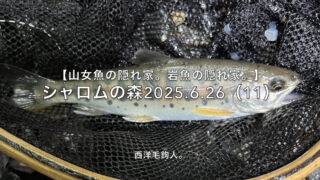 【フライフィッシング】反応があるだけ、マシ・・・かな？ 