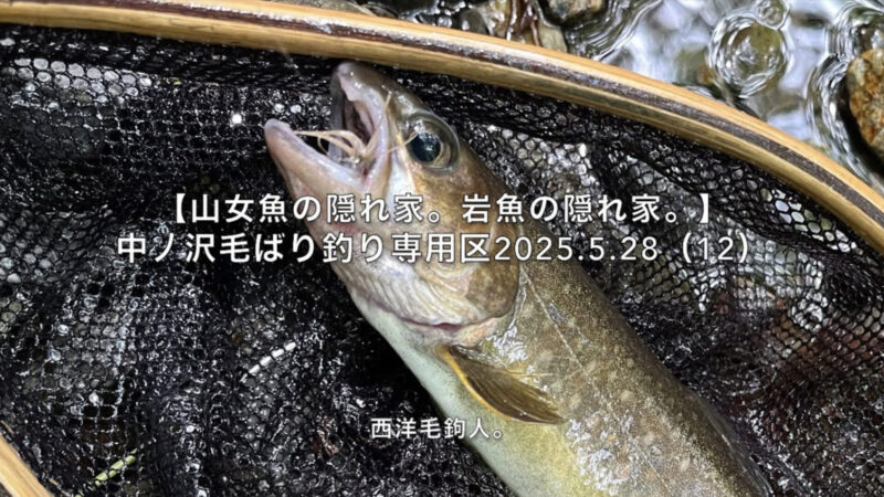 【フライフィッシング】メンタル回復で釣果が伸びる。