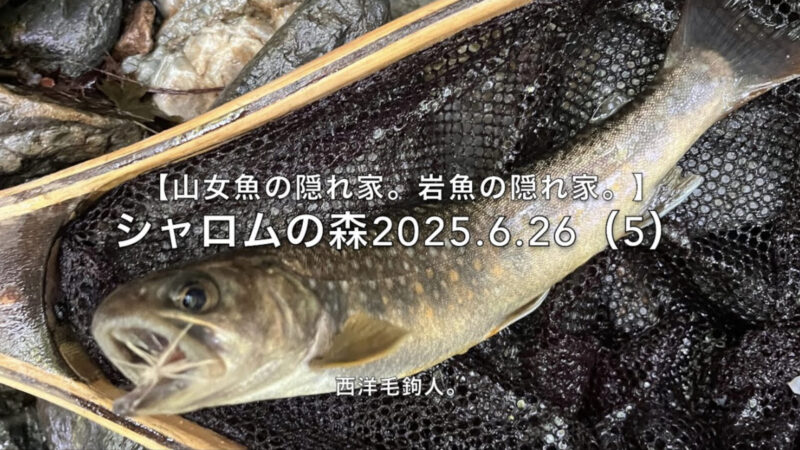 【フライフィッシング】えっ!?また岩魚?