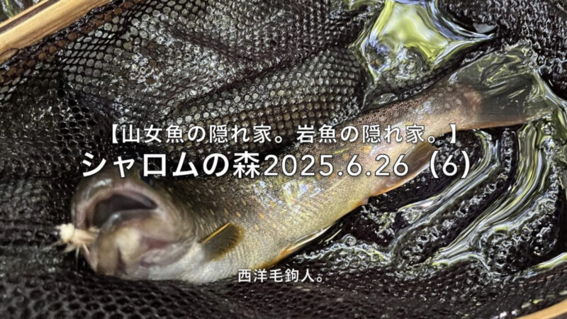 【フライフィッシング】増水のせい?2投目で出た!