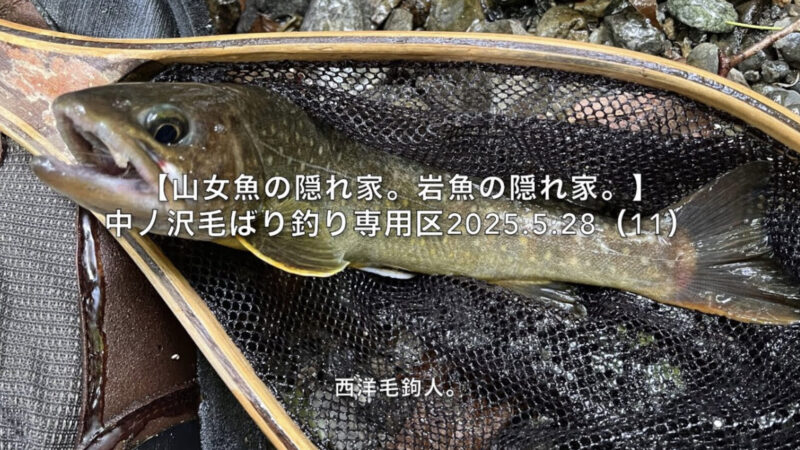 【フライフィッシング】水面の荒れ具合で毛鉤を選択する!?