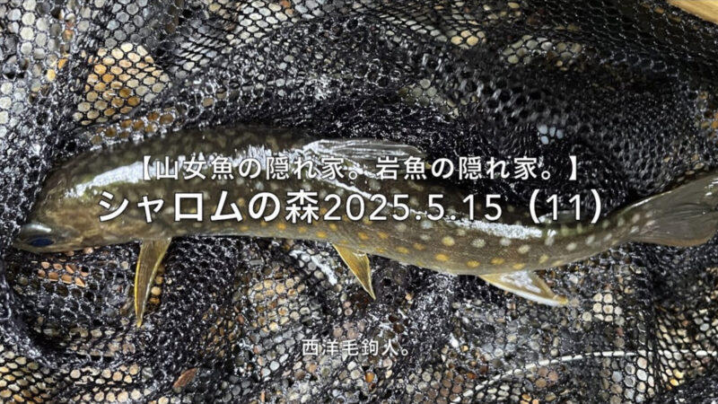 【フライフィッシング】いろんな葛藤の中で釣るのは、楽しい!