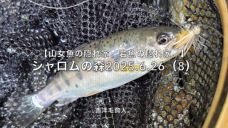 【フライフィッシング】期待が大きいと、山女魚が飛ぶ！？ 