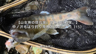 【フライフィッシング】フックアウトは、メンタル修行？ 