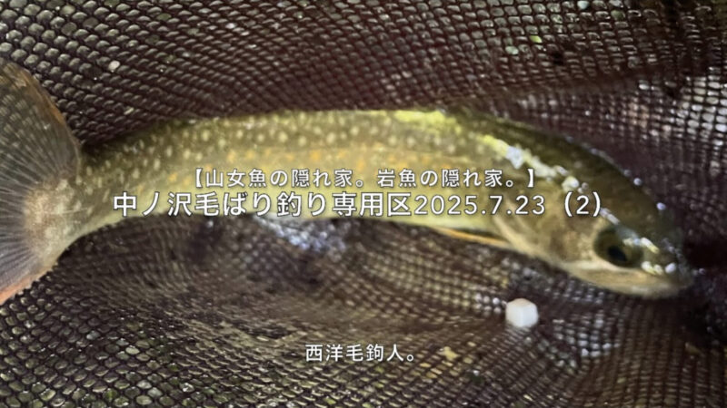 【フライフィッシング】やっぱりスレている？ 