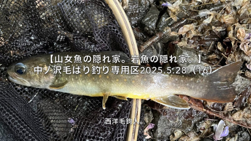 【フライフィッシング】フライフィッシャーの年齢層は、高い?
