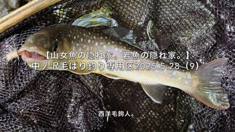 【フライフィッシング】時々出現するフラット水面が勝負！ 