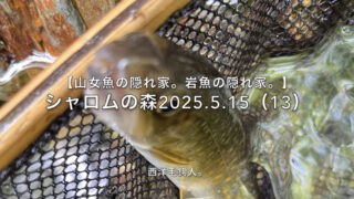 【フライフィッシング】岩魚は、アプローチで釣る！ 