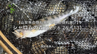 【フライフィッシング】カミナリと競争だ。