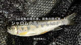 【フライフィッシング】フツーサイズは、どこにいる？ 