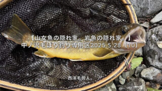 【フライフィッシング】フロータントが神様にみえる瞬間！？ 