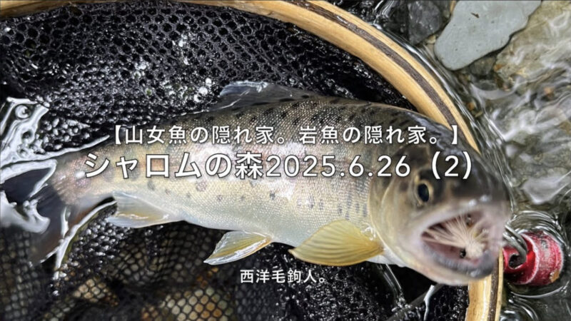 【フライフィッシング】スミイチの予感。 