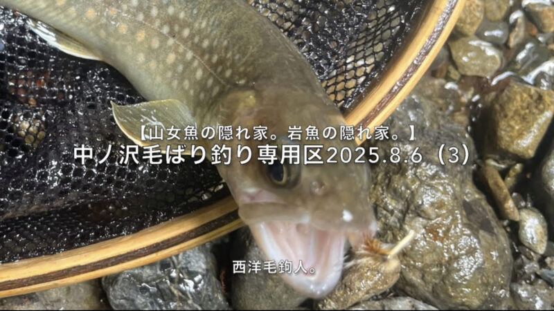 【フライフィッシング】たった4秒・・・されど、4秒。