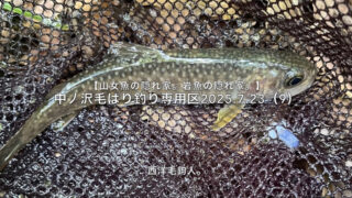 【フライフィッシング】釣れないより釣れた方がいいのだが・・・。 