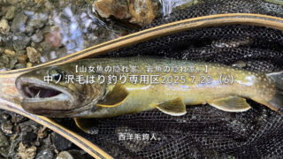 【フライフィッシング】カミナリ様を意識すると、魚影を発見し易い？ 