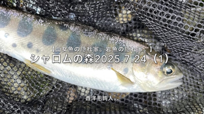 【フライフィッシング】熊スプレーの安全弁を解除する時。 