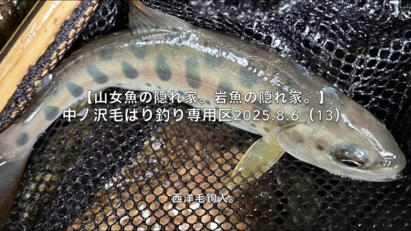 【フライフィッシング】僕の日ではなかった。