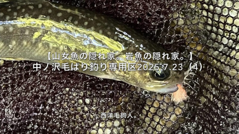 【フライフィッシング】増水+スレありの時の毛鉤の選択