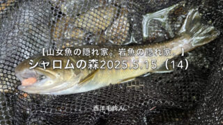 【フライフィッシング】岩魚なら、どこでも出そうな感じ。 