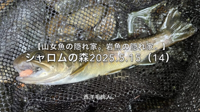 【フライフィッシング】岩魚なら、どこでも出そうな感じ。