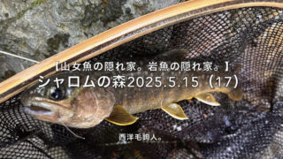 【フライフィッシング】渓魚が隠れる場所は、沈み石だけではない！ 