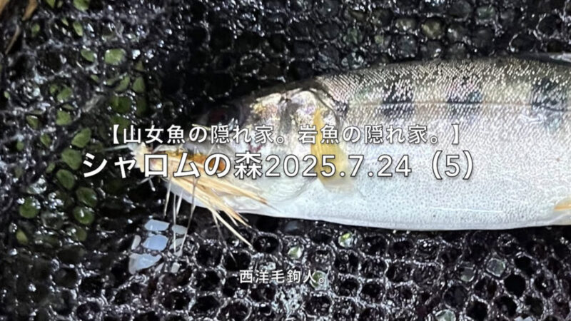 【フライフィッシング】チャラ瀬はポイントを絞りにくい・・・。