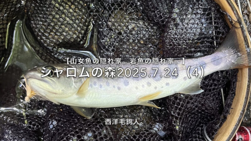 【フライフィッシング】チャラ瀬だから、チビというわけではない!