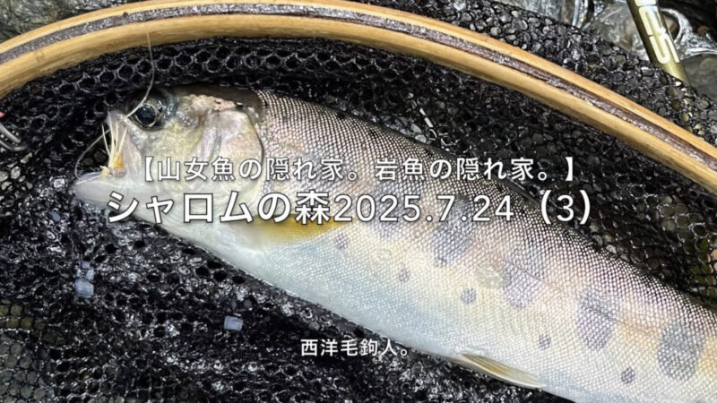 【フライフィッシング】小渓流では、納得サイズ!