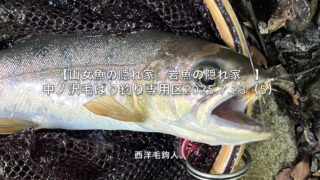 【フライフィッシング】水面下の釣り人が多かったようだ。 