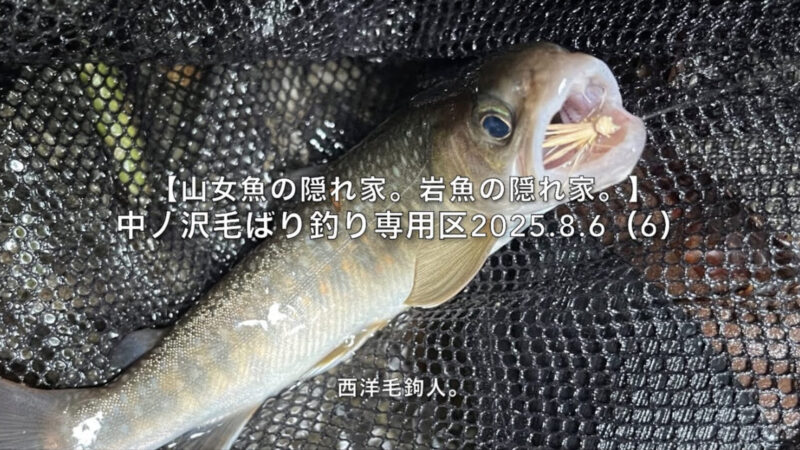 【フライフィッシング】大場所警備員の岩魚?
