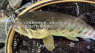 【フライフィッシング】泣尺岩魚の呪い？ 